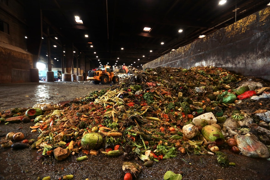 Food waste piled up in a warehouse.