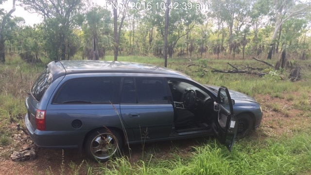 A dark purple station wagon parked on the grass.