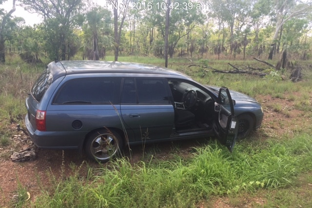 A dark purple station wagon parked on the grass.