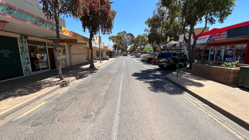 A narrow street with businesses either side and trees lining the footpaths.