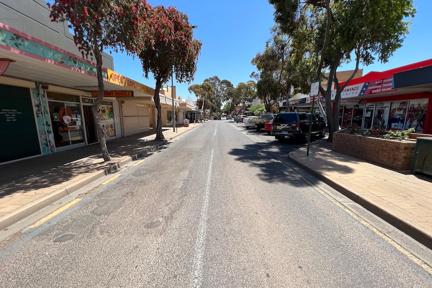 A narrow street with businesses either side and trees lining the footpaths.