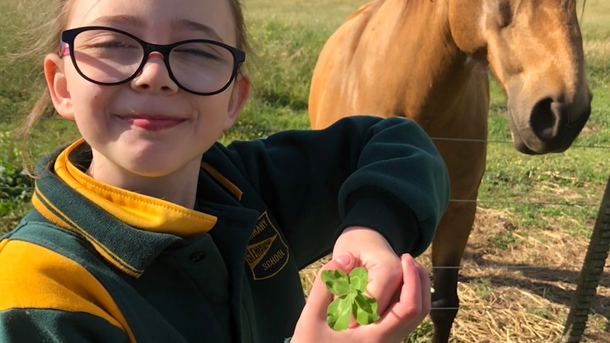 A girl stands in a paddock holding a large five-leaf clover.