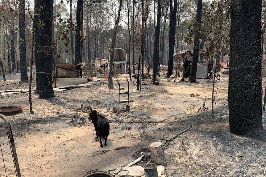 Douglas Wood's home was destroyed in the blaze.