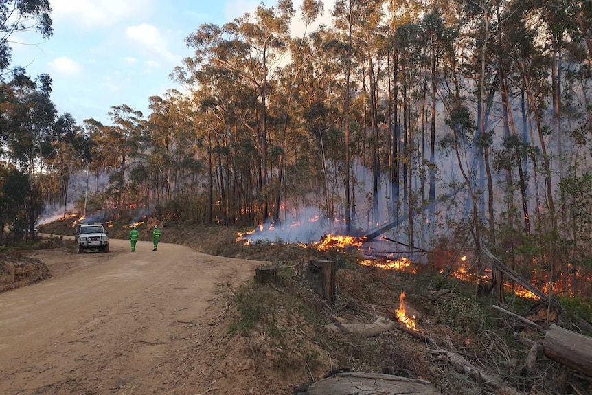 Two men in green fire suits walk along a dirt road as fire burns on the ground nearby.