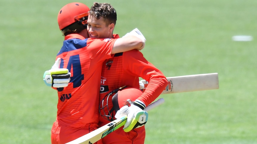 SA cricket player Alex Carey celebrates with teammate after hitting a century during their match against QLD