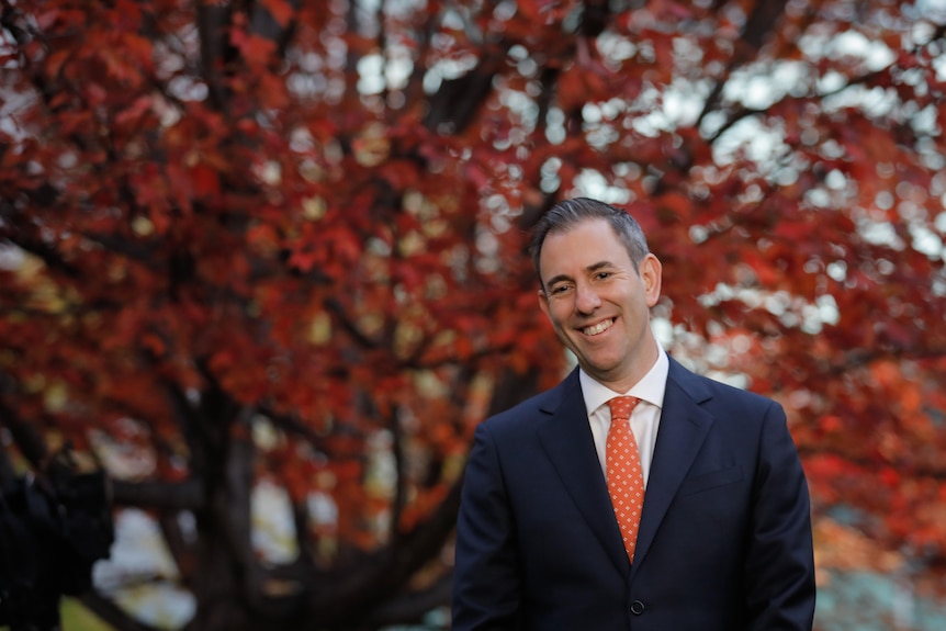 Jim Chalmers smiles while standing in front of Parliament House's budget tree