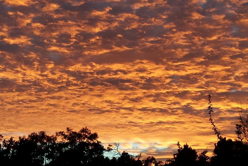 Sunrise near Gidgegannup. May 23, 2016