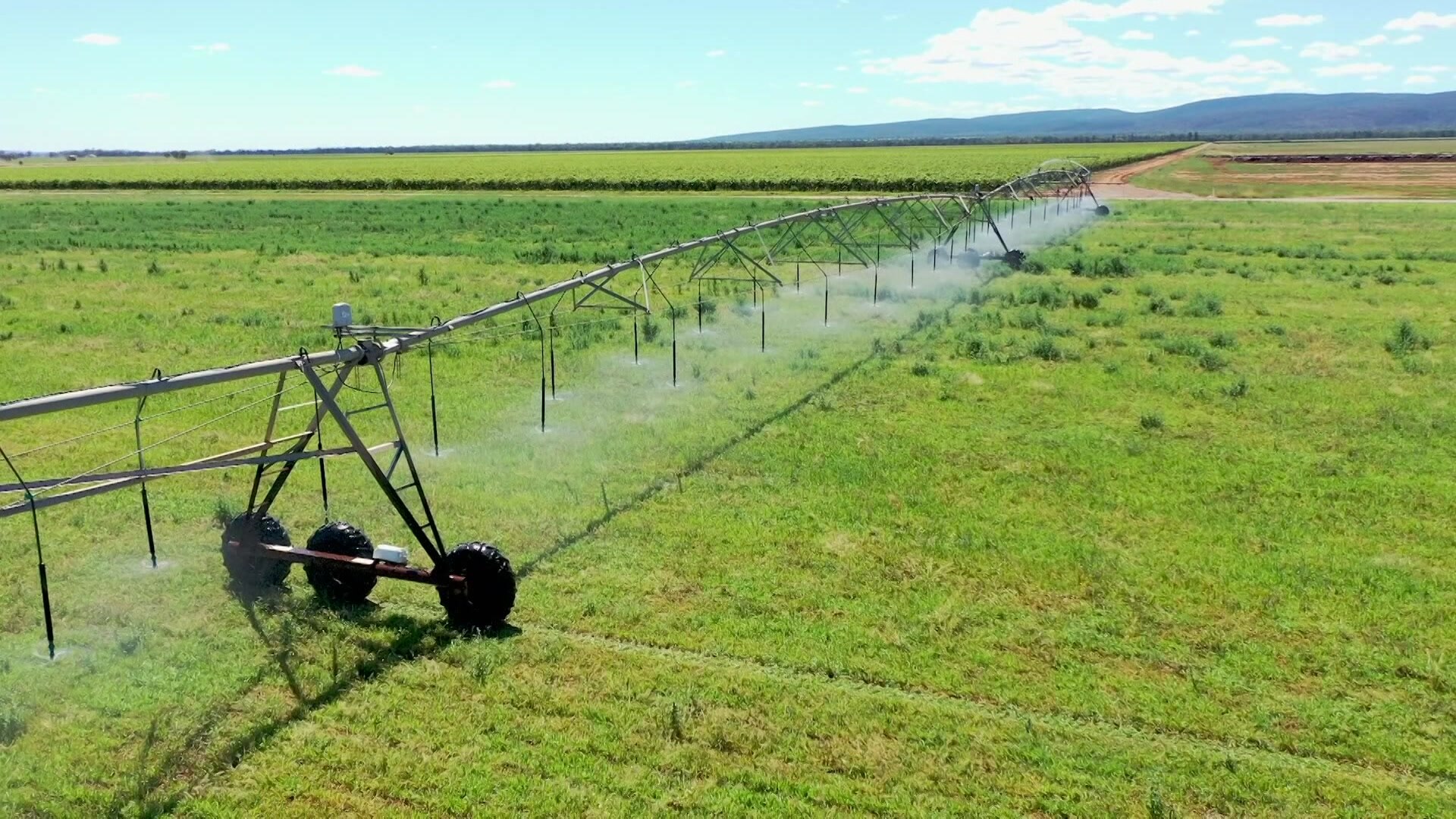 Photo of water spraying on vineyard.
