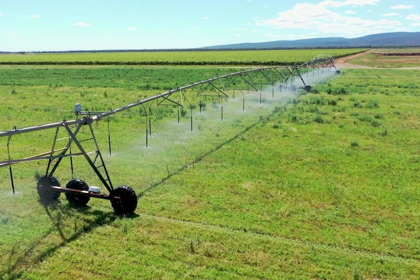 Photo of water spraying on vineyard.