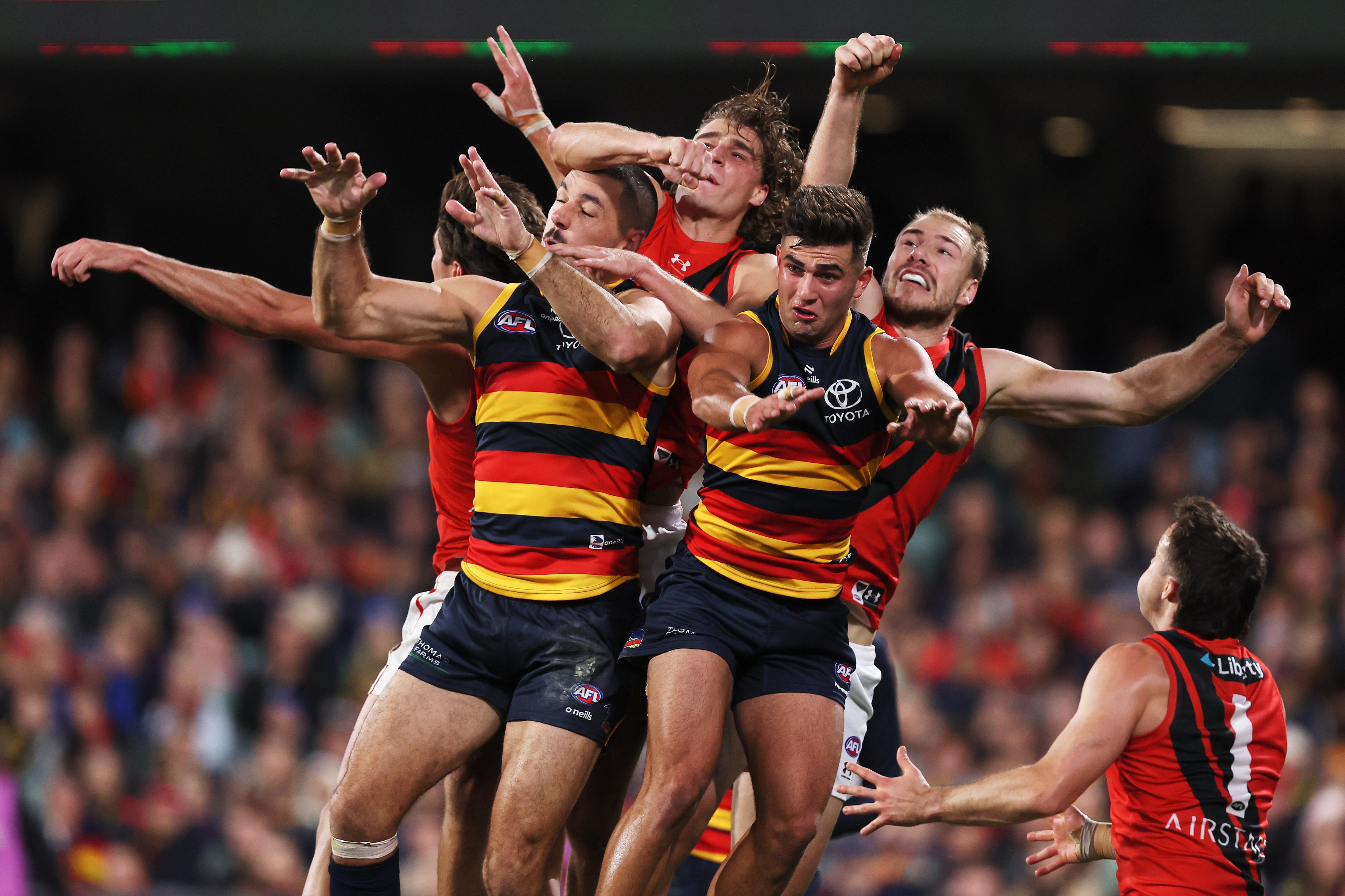 A large pack of Essendon and Adelaide players compete for the ball