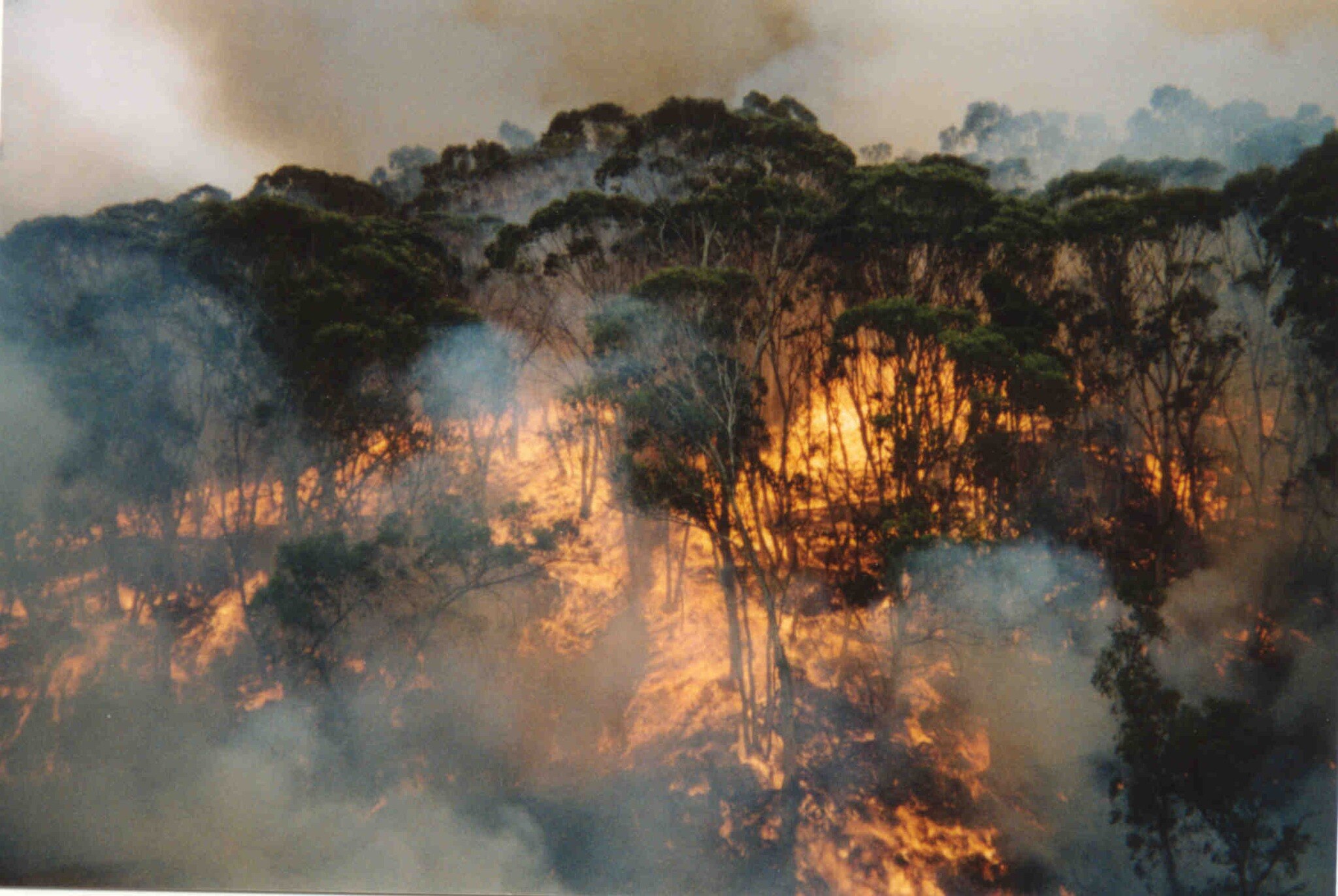 Memories Of 2003 Bushfires Still Vivid For Gippsland Residents 20 Years ...