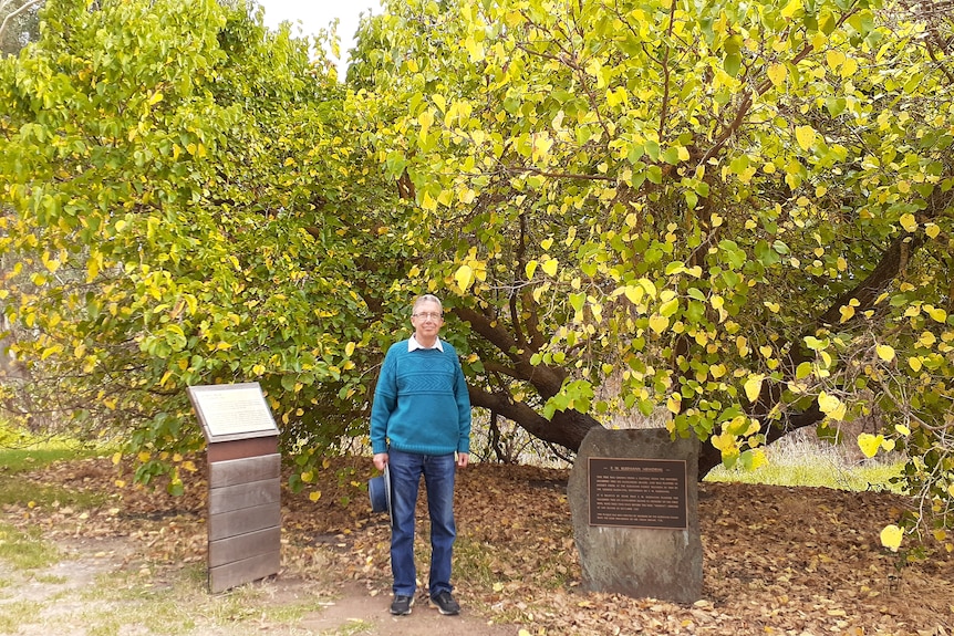A man in a blue sweater and jeans stands in front of two bushy trees and memorial plaques.