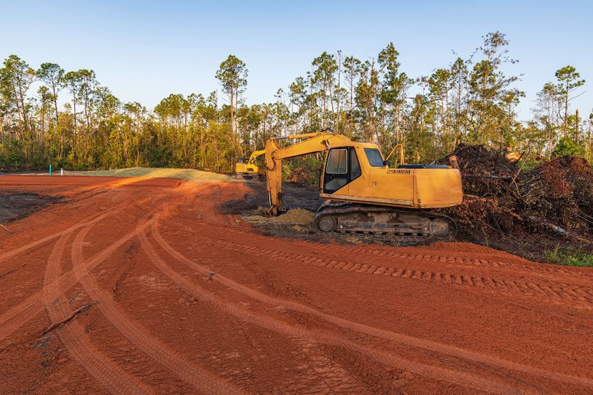 Under a blue sky, a yellow tractor sits near red dirt, surrounded by mounds of dirt and dense trees.