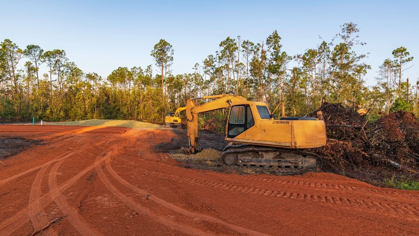 Under a blue sky, a yellow tractor sits near red dirt, surrounded by mounds of dirt and dense trees.