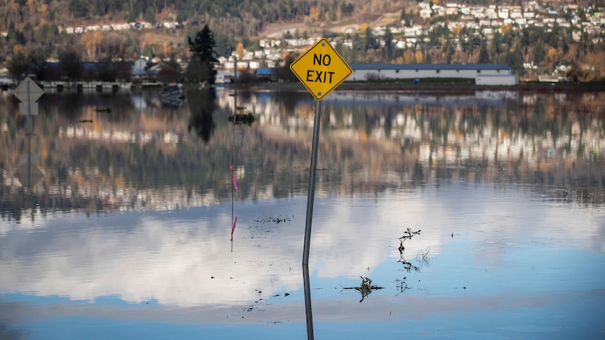 A "No Exit" sign is seen along the side of a flooded dead-end road