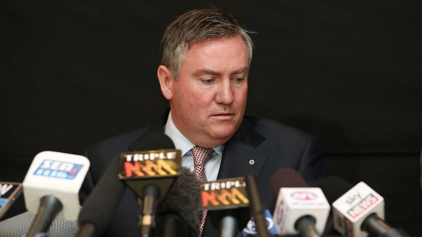 Collingwood Football club president Eddie McGuire addresses the media in Melbourne on May 29, 2013.