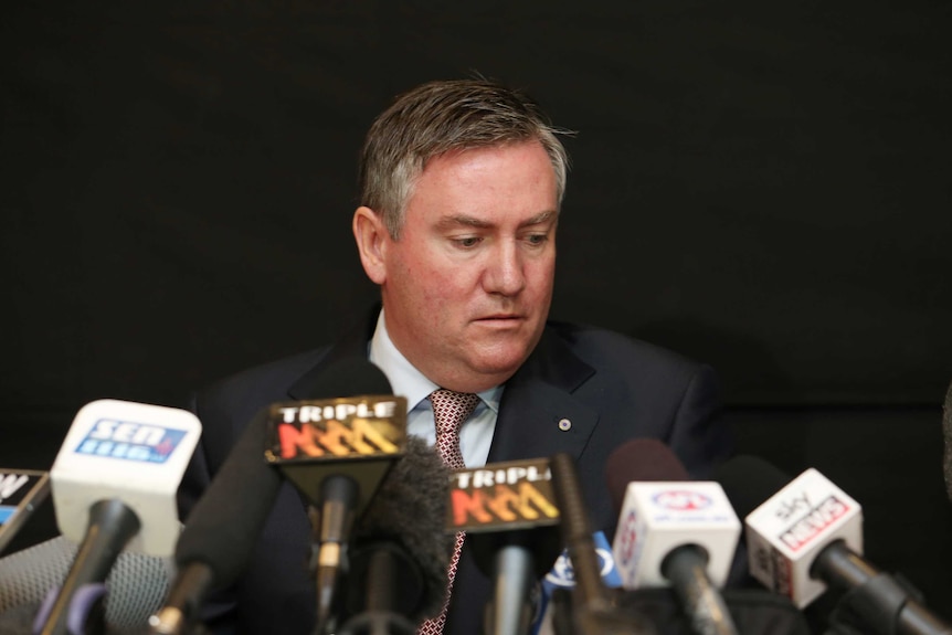 Collingwood Football club president Eddie McGuire addresses the media in Melbourne on May 29, 2013.