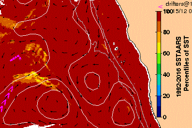 A graphic map showing warmer sea surface temperatures off the WA coast  on December 14, 2019.