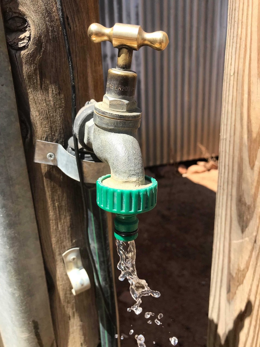 A water tap with a green nozzle and water coming out. It is attached to a weather-beaten piece of wood.