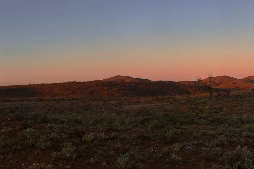 Sunsetting at Boolcoomatta Nature reserve in South Australia.