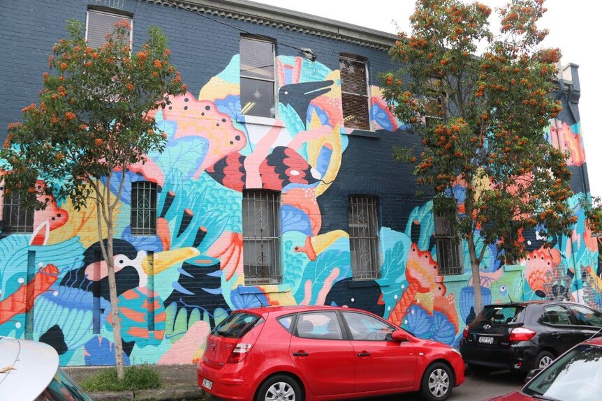House mural at Bedford Street in Newtown by Jumboist, on Friday March 24 2017.