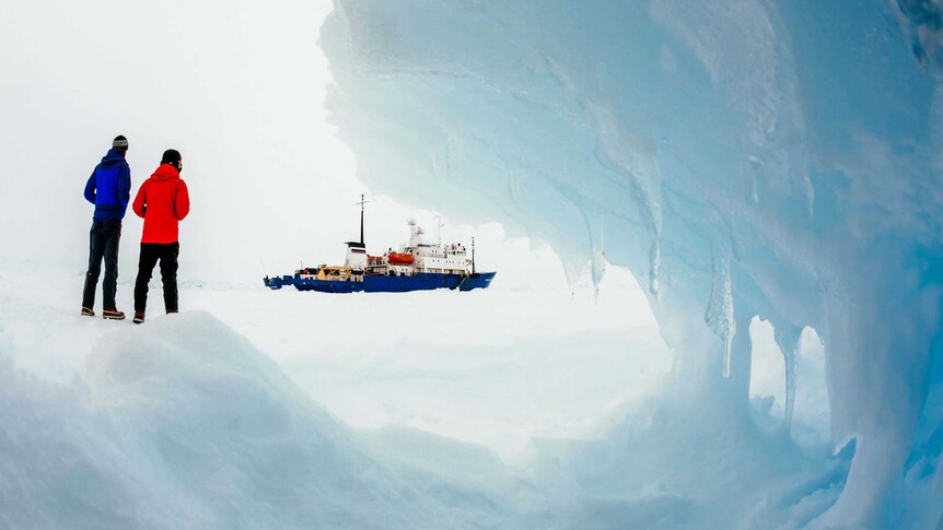 Passengers look at the ice-locked ship Akademik Shokalskiy in east Antarctica