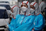 Workers in testing suits looking at cars