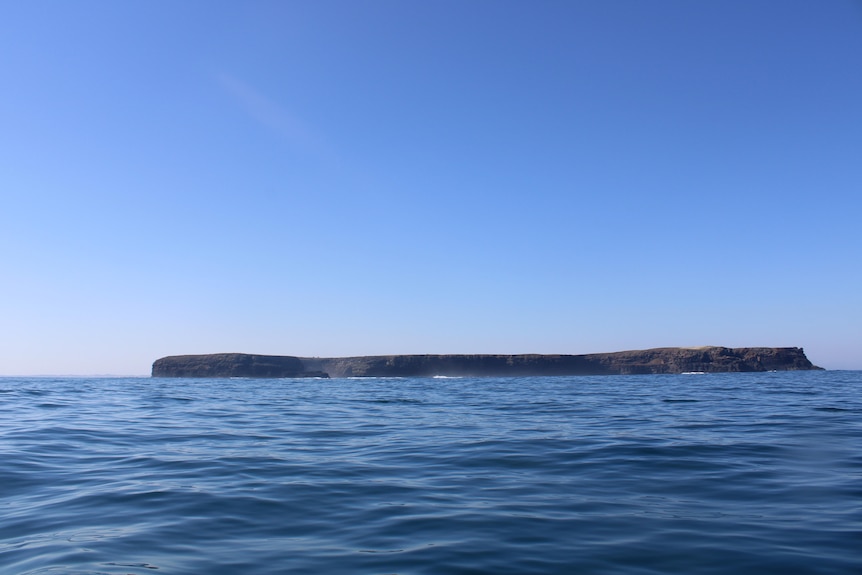 A low flat cliff-surrounded island.