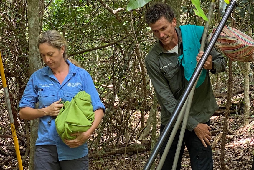 Amber Gillett carries a koala through bushland with Sean FitzGibbon.