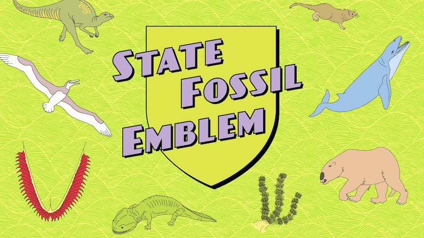 Illustrations of the eight fossil candidates for emblem of victoria.