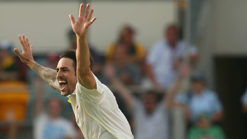 Mitchell Johnson celebrates an Ashes wicket