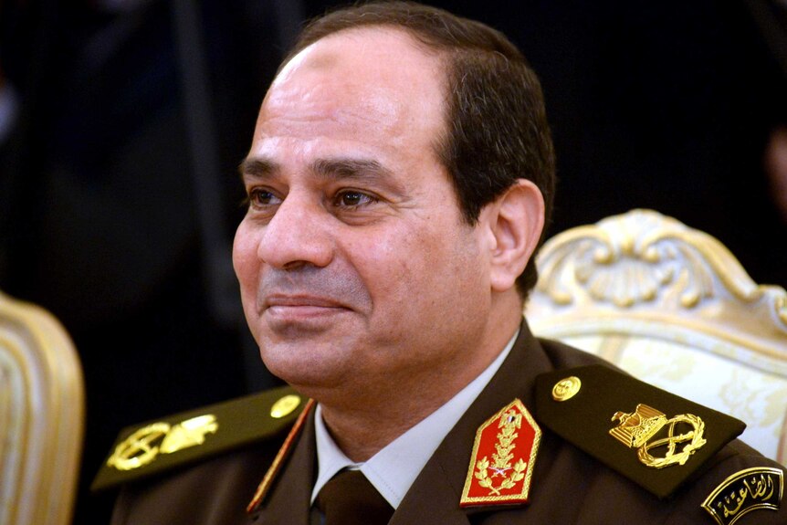 Egyptian army chief Abdel Fattah al-Sisi smiles during a meeting.