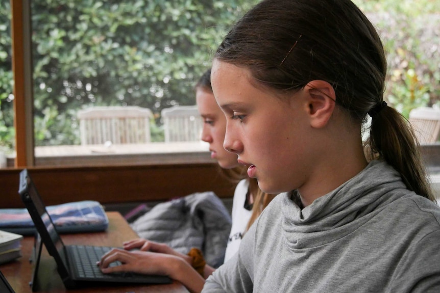 A close up of Amelie Brown working on her computer, wearing a grey top and long brown hair in a pony tail.