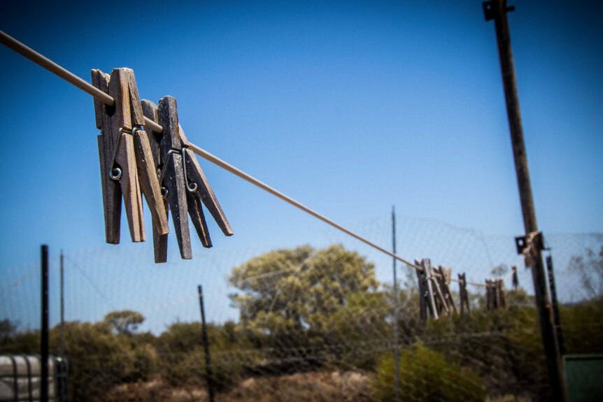 Pegs on clothes line in the bush.