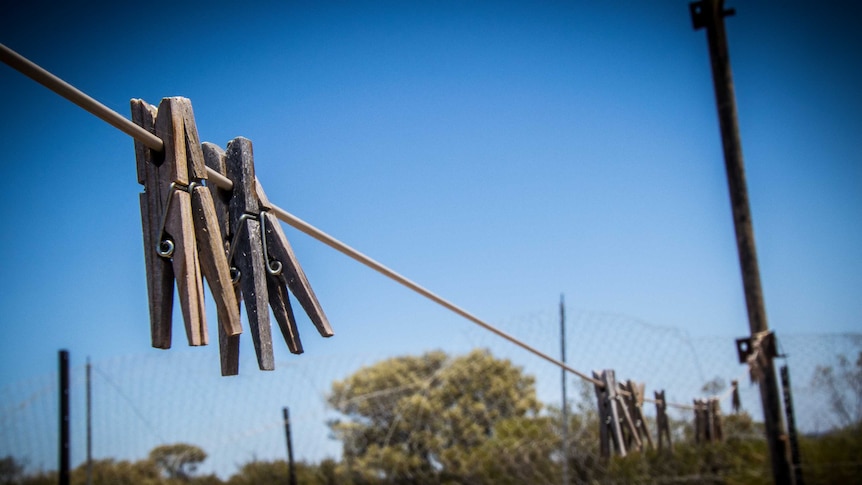 Pegs on clothes line in the bush.