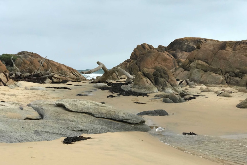 Salmon Rocks at Cape Conran