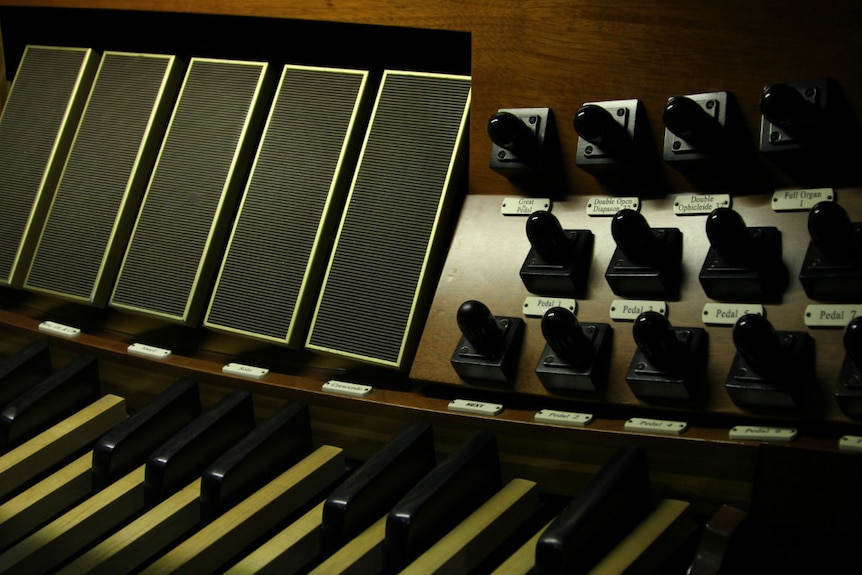 Five large pedals and multiple smaller pedals on the Melbourne Town Hall grand organ.