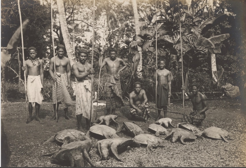 Six men stand with long sticks in hand, one man crouches, infront of of turtles. 