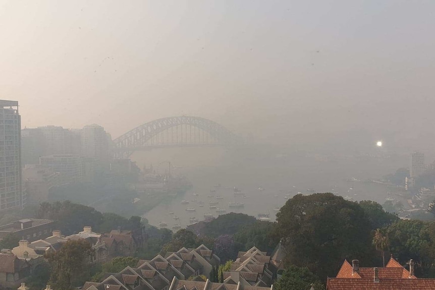 A hazy shot of Sydney harbour with the bridge barely visible.