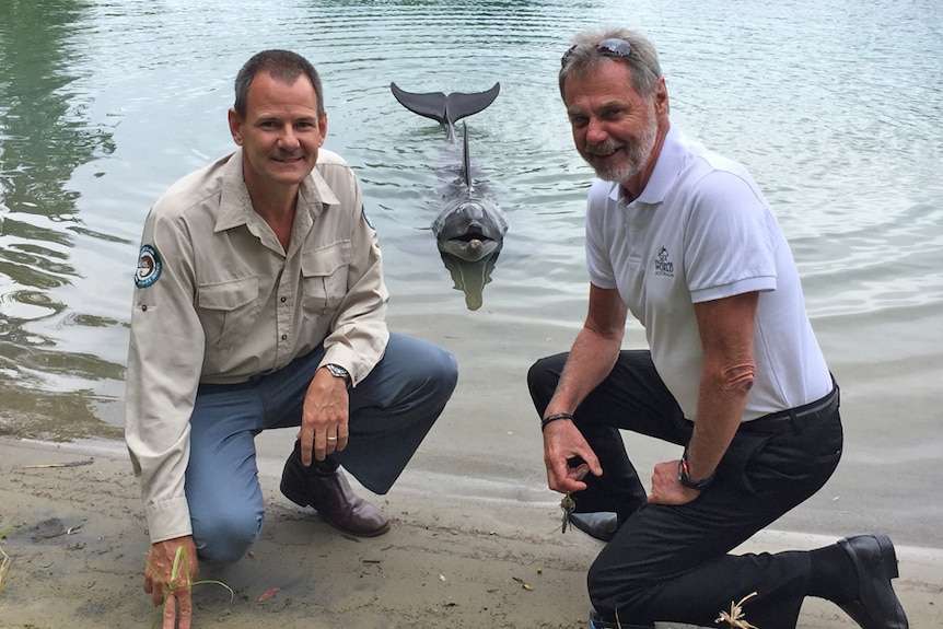 Queensland Parks and Wildlife Service and Sea World and with a bottlenose dolphin