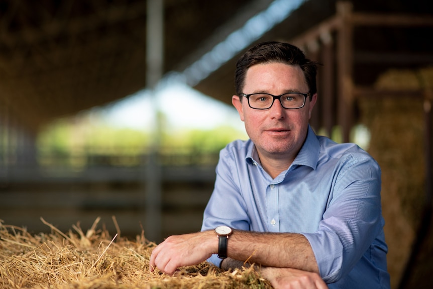 A man with dark hair and glasses is wearing a blue collared shirt at a cattle yard.