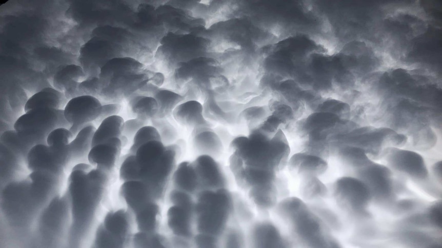 Dark mammary shaped clouds with strong light behind them showing a contrast of dark grey and white