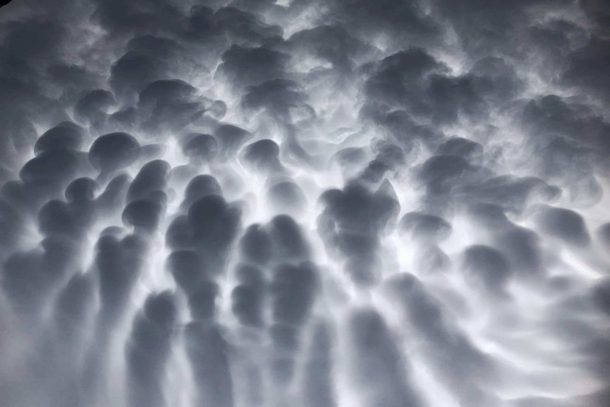 Dark mammary shaped clouds with strong light behind them showing a contrast of dark grey and white