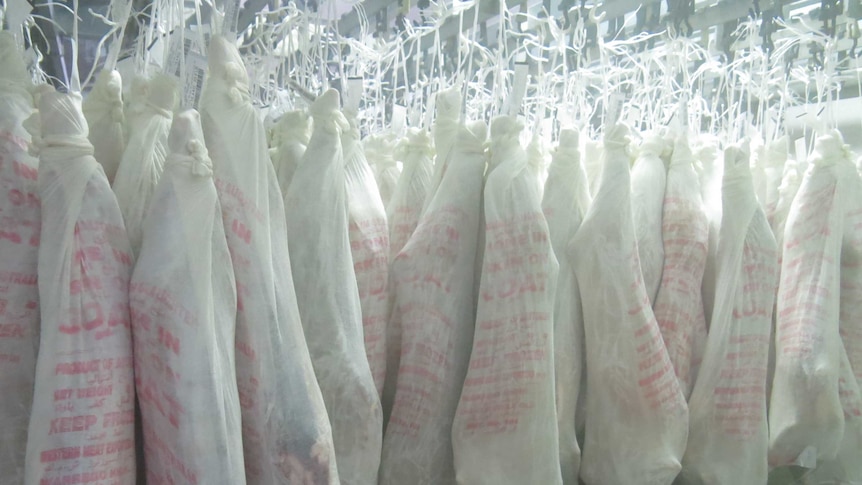 Goat carcasses in white bags hanging from hooks in an abattoir cold room.