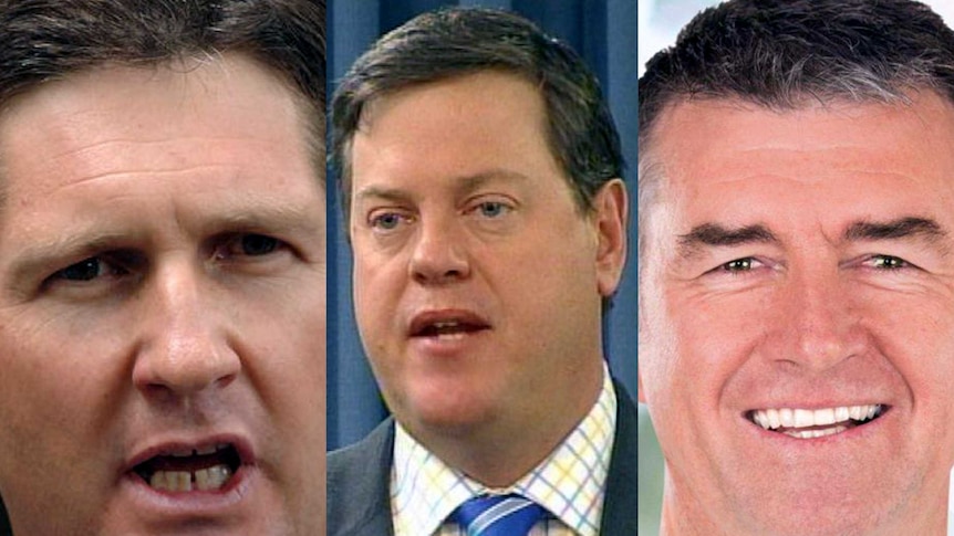 Mr Springborg and Mr Nicholls and Mr Mander, who are reportedly preparing a unity ticket to challenge the leadership.