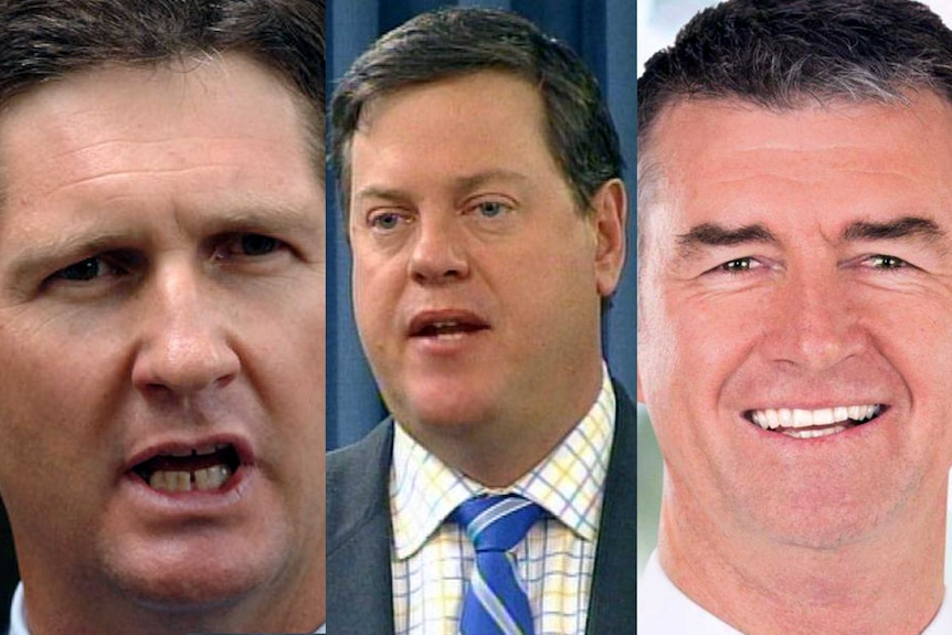 Mr Springborg and Mr Nicholls and Mr Mander, who are reportedly preparing a unity ticket to challenge the leadership.