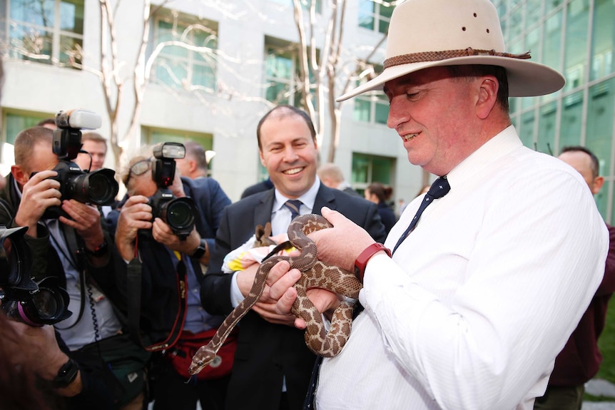 Barnaby Joyce holding a snake. Josh Frydenberg watches on.