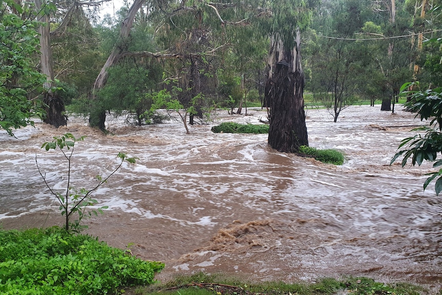 Cassilis Road flood Pauline Fox
