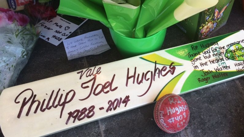 Cricket bat put out in tribute to Phillip Hughes