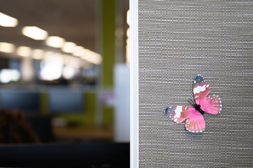 Paper butterfly on office wall
